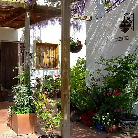 River Ebro Holidays Bed and breakfast