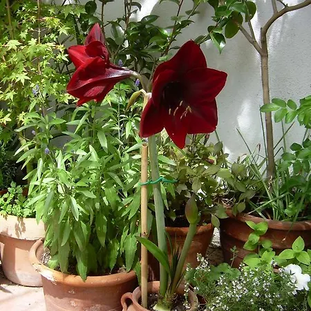 River Ebro Holidays Bed & Breakfast