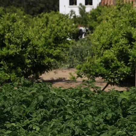 Bed & Breakfast River Ebro Holidays Tivenys