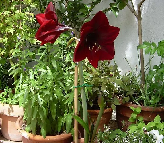 River Ebro Holidays Bed & Breakfast